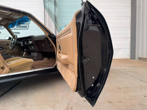 1981 Pontiac Firebird Trans Am