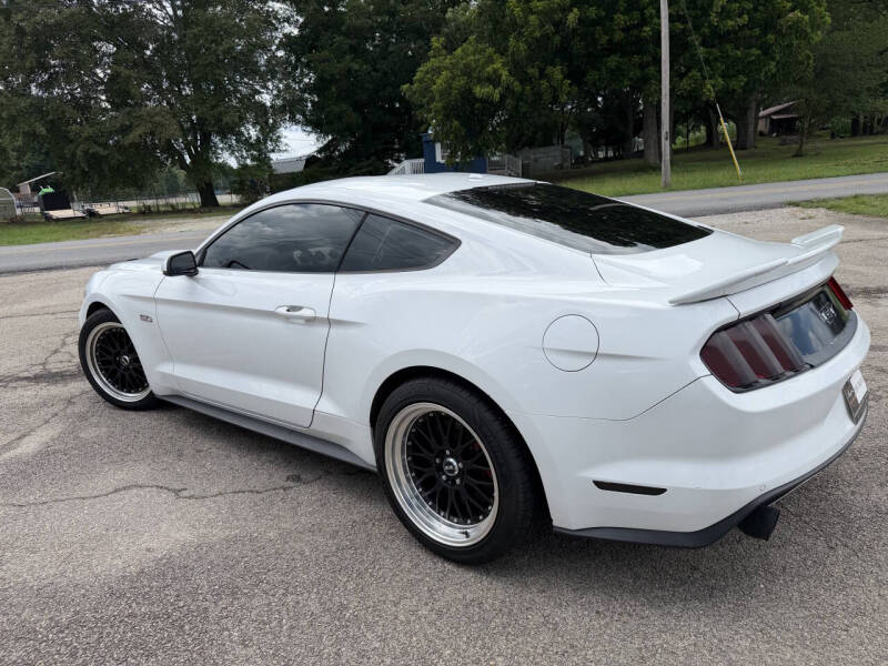 Click to enlarge