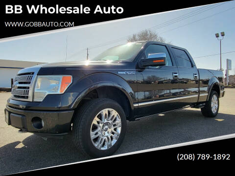 2010 Ford F-150 for sale at BB Wholesale Auto in Fruitland ID