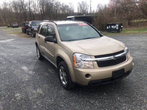 2007 Chevrolet Equinox LS