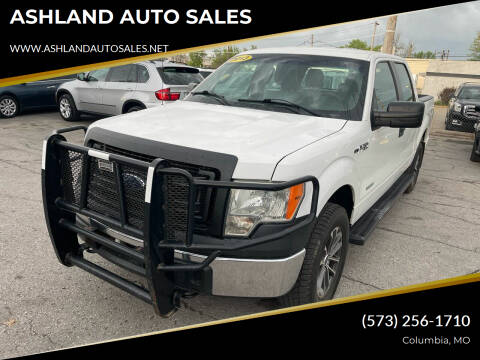 2013 Ford F-150 for sale at ASHLAND AUTO SALES in Columbia MO