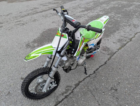 2025 TrailMaster SK 110E