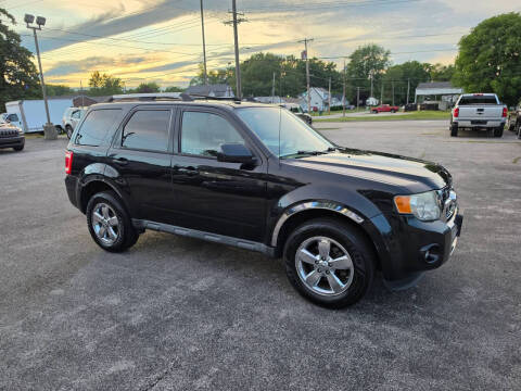 2011 Ford Escape Limited