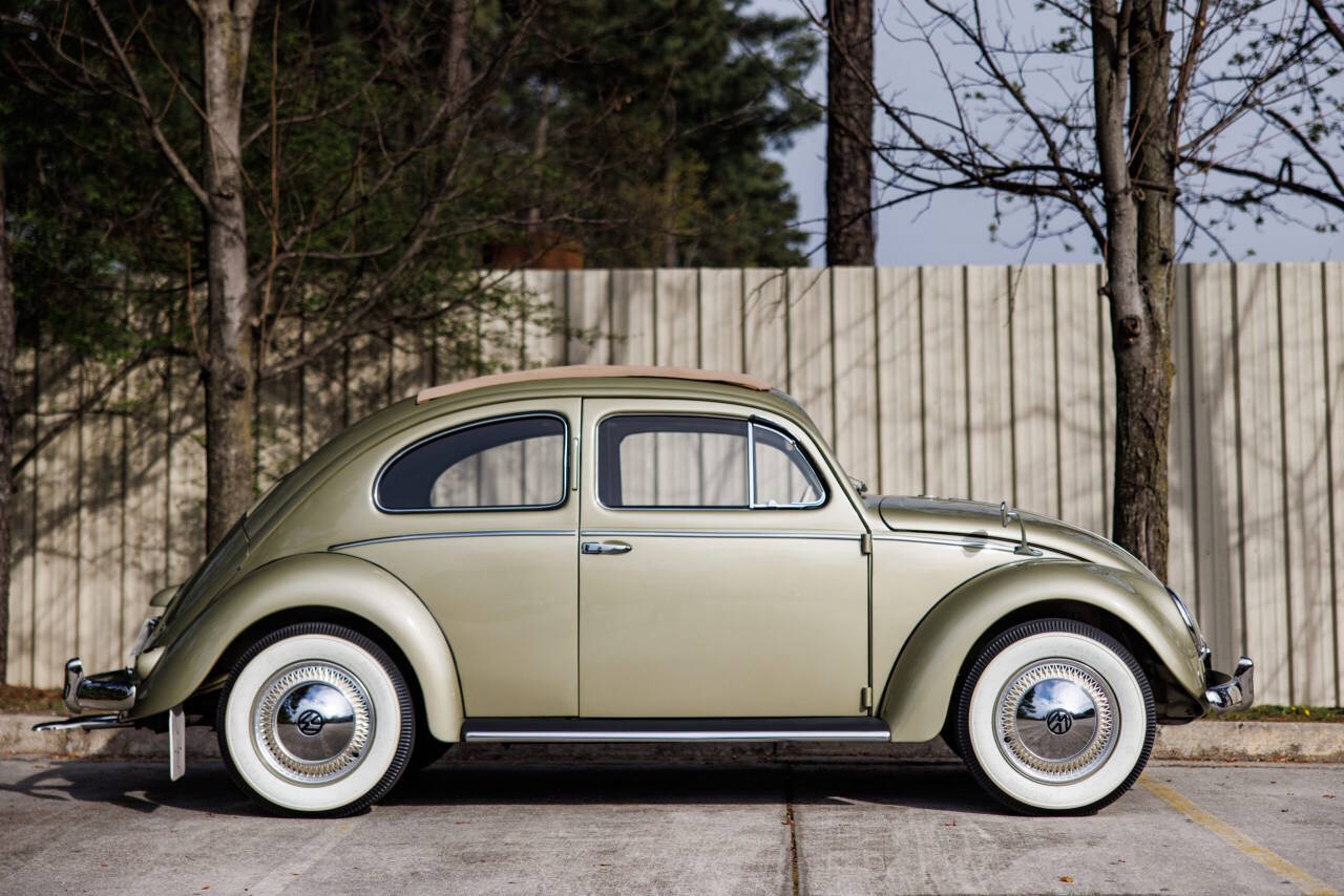 1955 Volkswagen Beetle 5