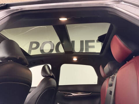 2023 Infiniti QX50 Sport