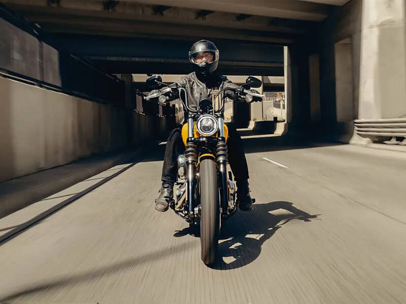 2025 Harley-Davidson Street Bob