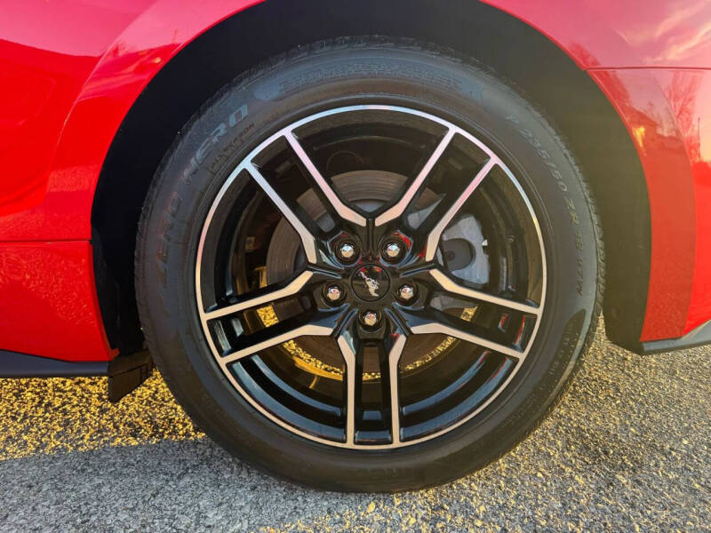 2019 Ford Mustang