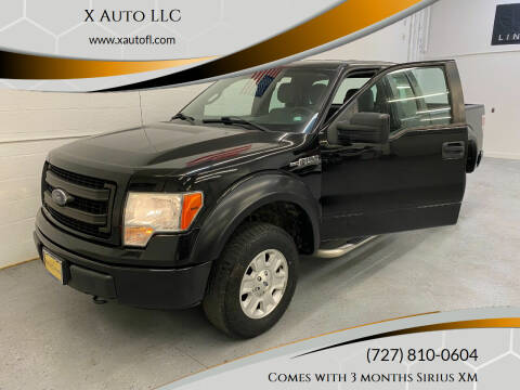 2013 Ford F-150 for sale at X Auto LLC in Pinellas Park FL