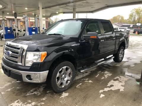 2009 Ford F-150 for sale at JE Auto Sales LLC in Indianapolis IN