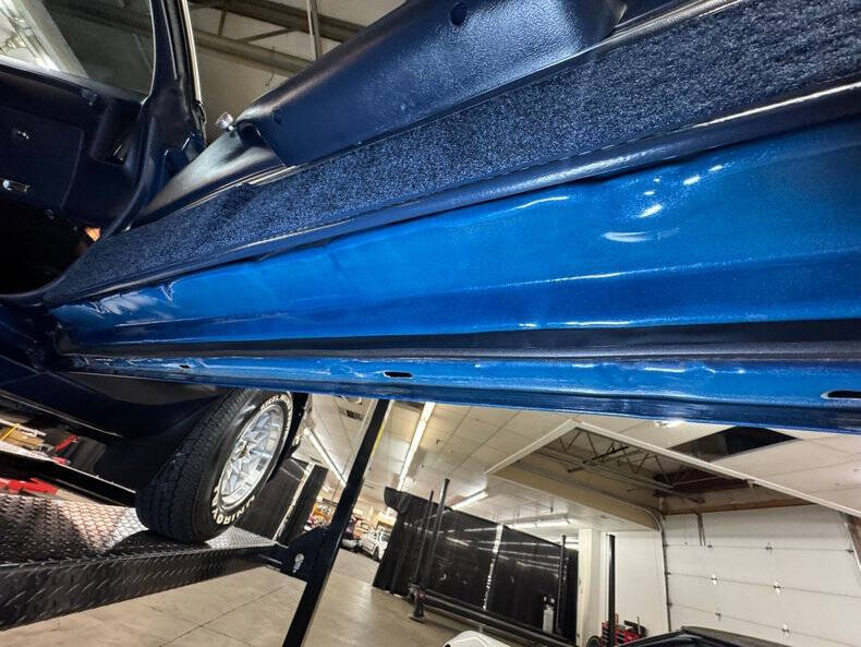 1981 Pontiac Firebird Trans Am