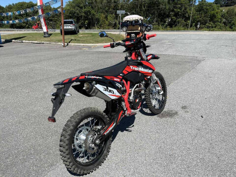 2024 TrailMaster TM38EX-300