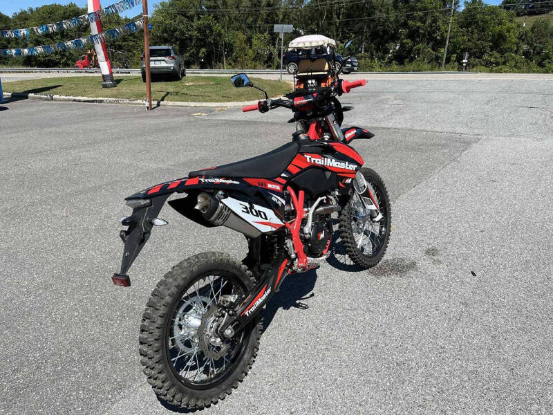 2024 TrailMaster TM38EX-300