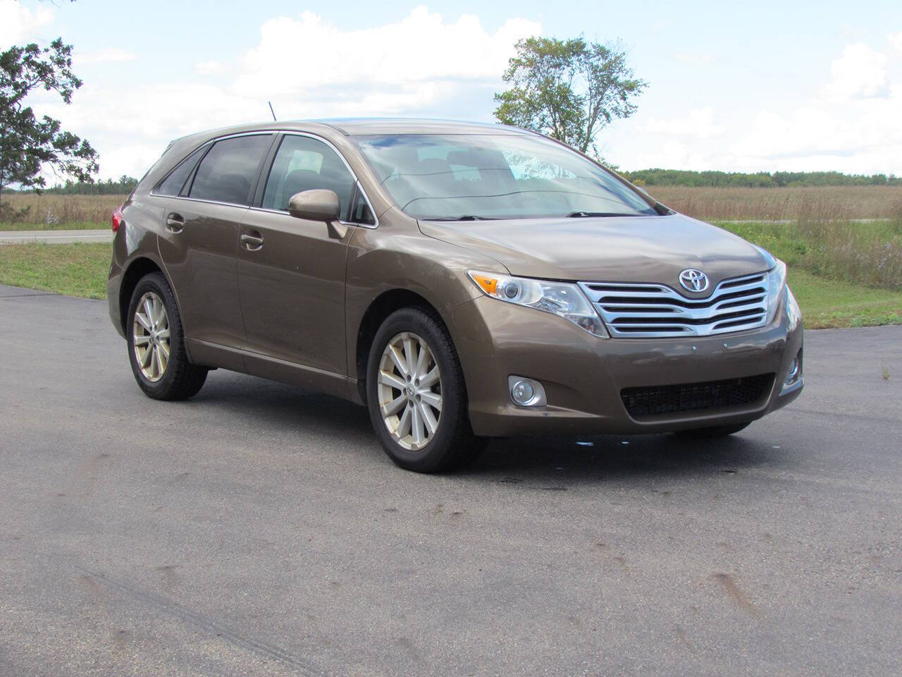 2009 Toyota Venza for sale at CAT CREEK AUTO in Menahga, MN