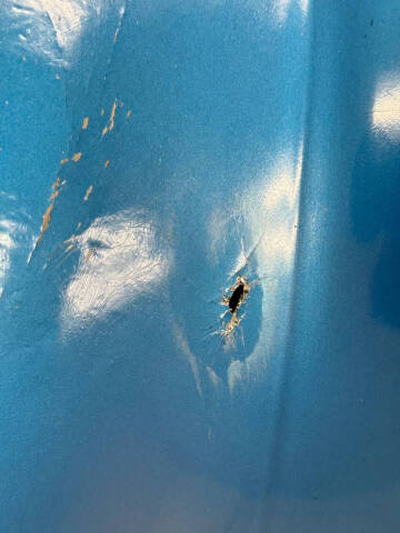 1955 Chevrolet Bel Air