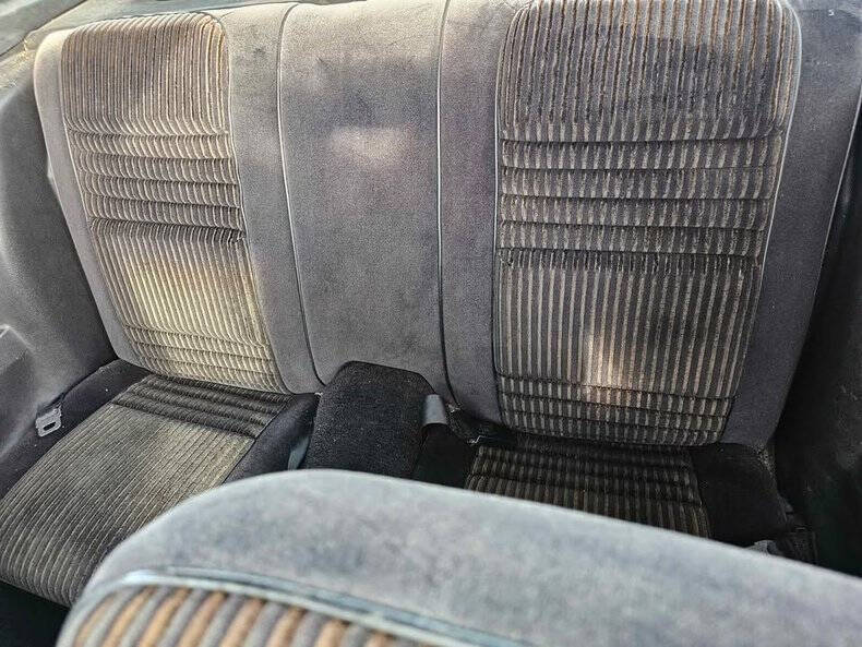 1981 Pontiac Trans Am