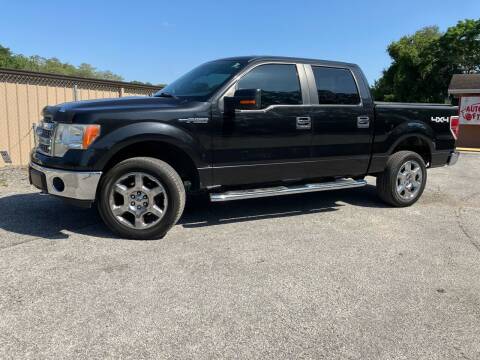 2014 Ford F-150 for sale at Auto Liquidators of Tampa in Tampa FL