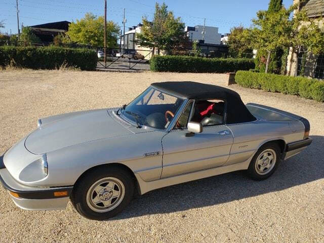 1986 Alfa Romeo Spider Veloce