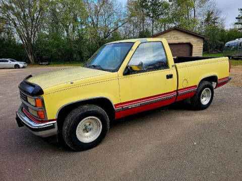 1990 Chevrolet C/K 1500 Series for sale at Classic Car Deals in Cadillac MI