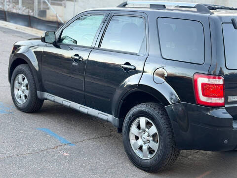 2011 Ford Escape Limited