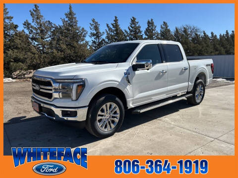 2025 Ford F-150 for sale at Whiteface Ford in Hereford TX