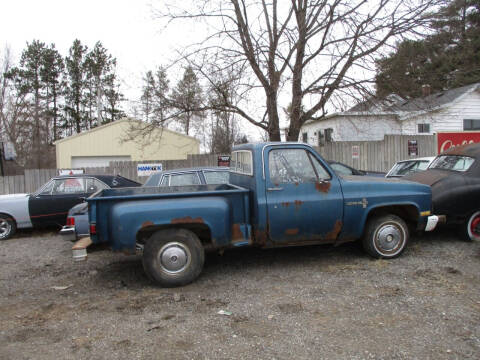 1984 Chevrolet C/K 10 Series for sale at Marshall Motors Classics in Jackson MI