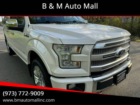 2016 Ford F-150 for sale at B & M Auto Mall in Clifton NJ