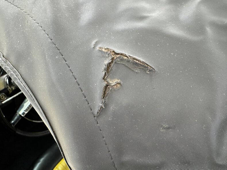 1955 Ford Thunderbird