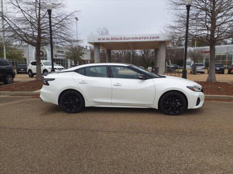 2023 Nissan Maxima for sale at BLACKBURN MOTOR CO in Vicksburg MS