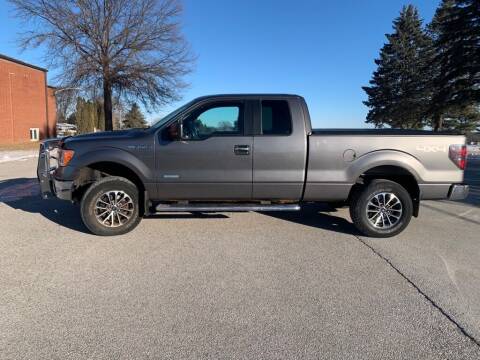 2012 Ford F-150 for sale at Smart Auto Sales in Indianola IA