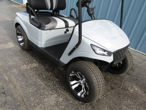 2015 E-Z-GO Storm Gas