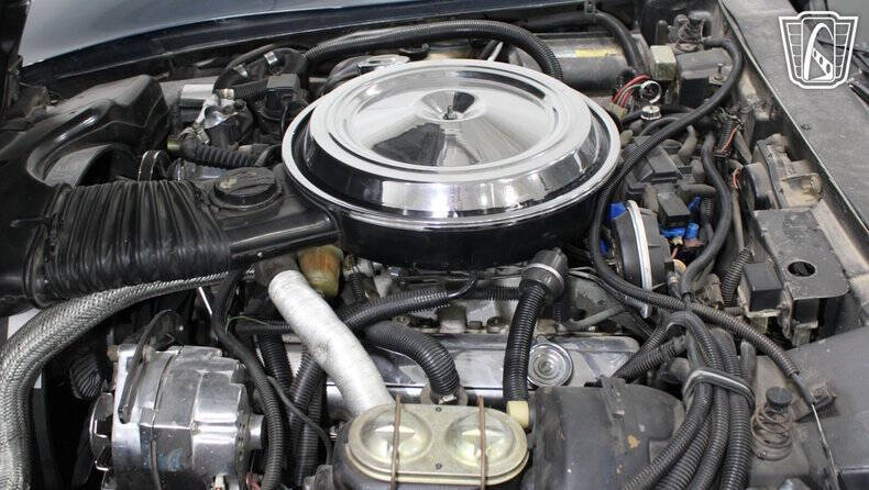 1981 Chevrolet Corvette