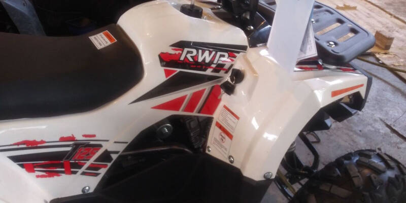 2020 Ace Powersports Inc T125