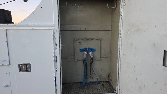 2012 International TerraStar