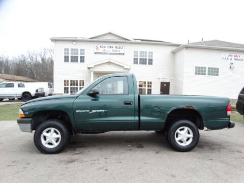 1999 Dodge Dakota for sale at SOUTHERN SELECT AUTO SALES in Medina OH