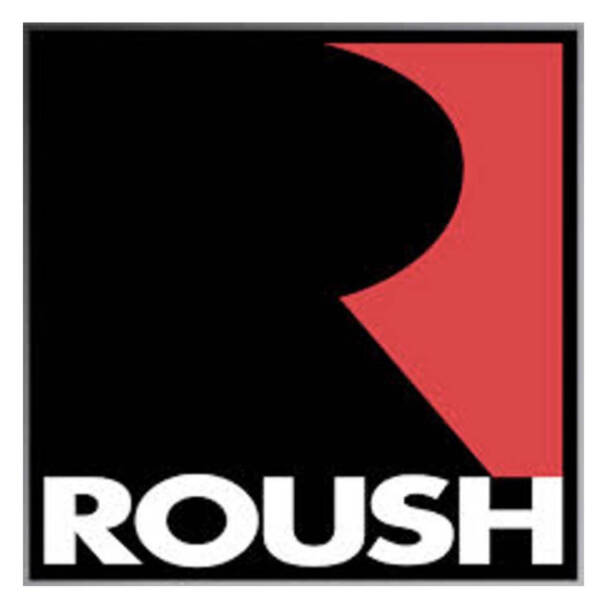 2015 Ford Mustang GT's photo