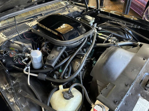 1981 Pontiac Firebird Trans Am