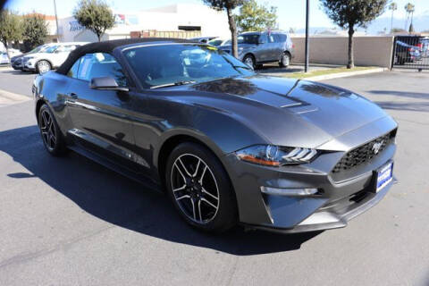 2019 Ford Mustang for sale at DIAMOND VALLEY HONDA in Hemet CA