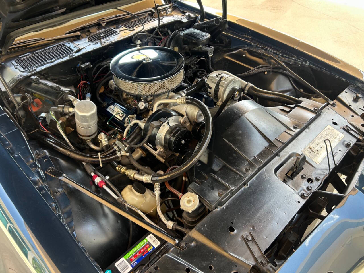 1981 Pontiac Firebird 37