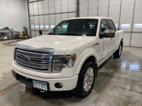 2014 Ford F-150 for sale at RDJ Auto Sales in Kerkhoven MN