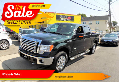 2012 Ford F-150 for sale at GSM Auto Sales in Linden NJ