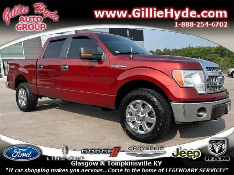 2014 Ford F-150 for sale at Gillie Hyde Auto Group in Glasgow KY