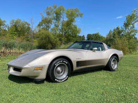 1982 Chevrolet Corvette for sale at Great Lakes Classic Cars LLC in Hilton NY