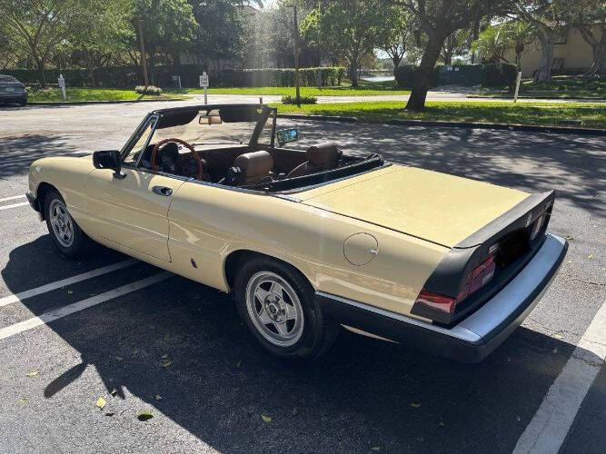 1984 Alfa Romeo Spider Veloce