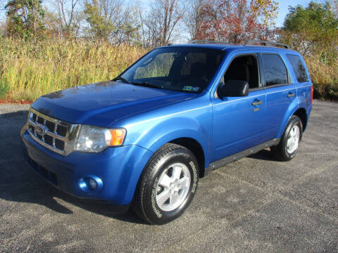 2012 Ford Escape for sale at Action Auto Wholesale - 30521 Euclid Ave. in Willowick OH