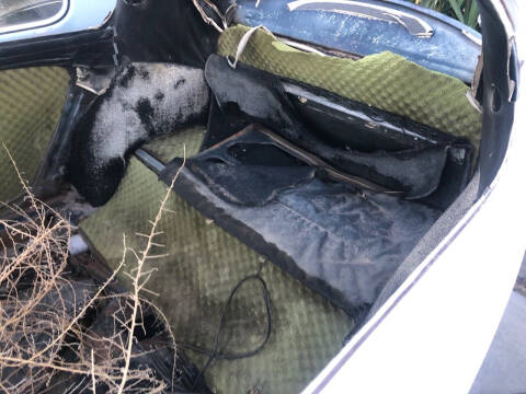 1967 Volkswagen Beetle