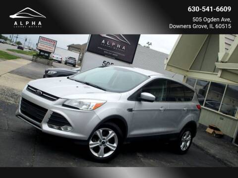 2013 Ford Escape for sale at Alpha Luxury Motors in Downers Grove IL