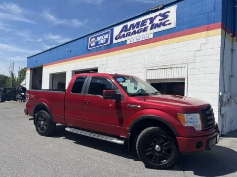 2010 Ford F-150 for sale at Amey's Garage Inc in Cherryville PA