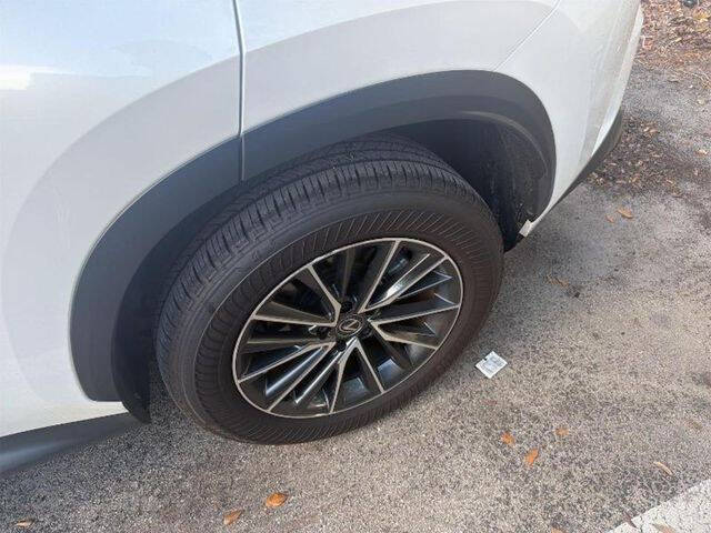 2025 Lexus NX 250 Premium