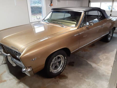 1967 Chevrolet Chevelle for sale at Classic Car Deals in Cadillac MI