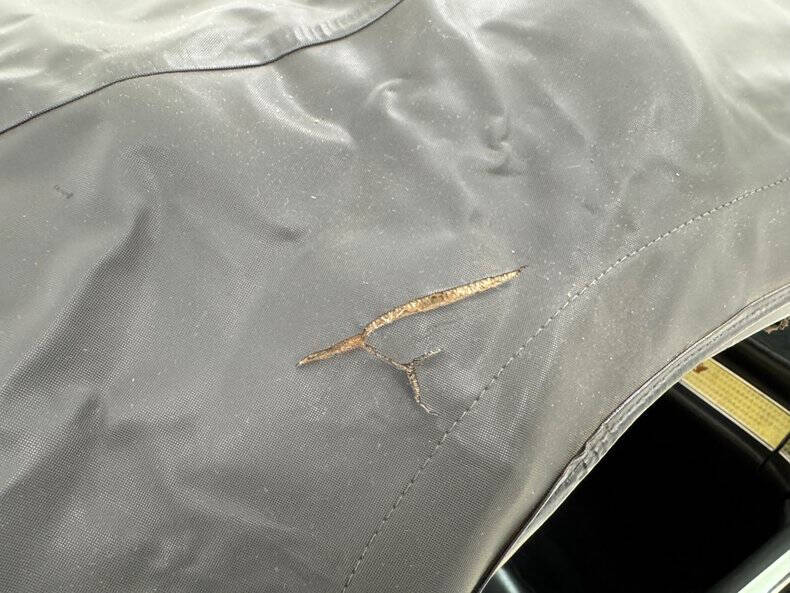 1955 Ford Thunderbird